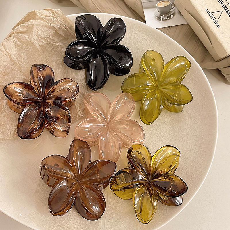 Korean Hawaiian Gradient Flowe - Hair Claw Clip Set 评论和价格