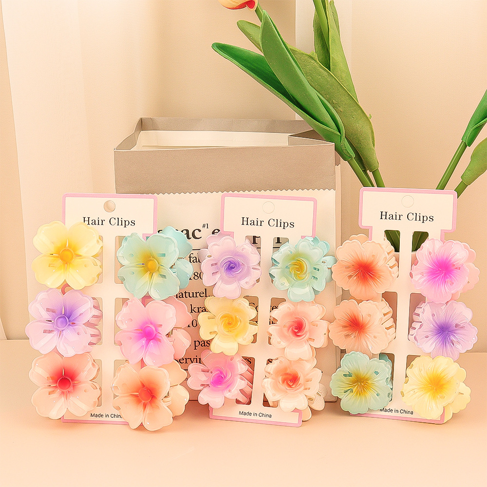 6Pcs Fashion Colorful Transpar - Hair Claw Clip Set 评论和价格